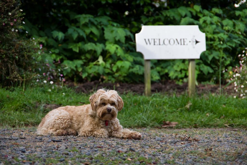 Ugbrooke Country Estate Hotel Lower Dashwood Eksteriør billede